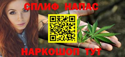 гидропоника Славгород