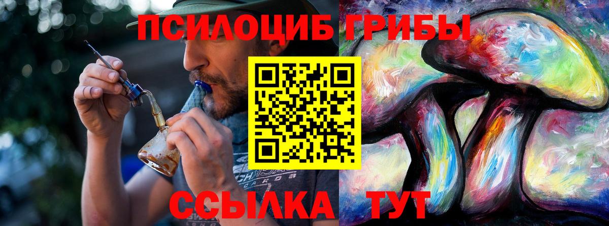 Галлюциногенные грибы мицелий Обнинск