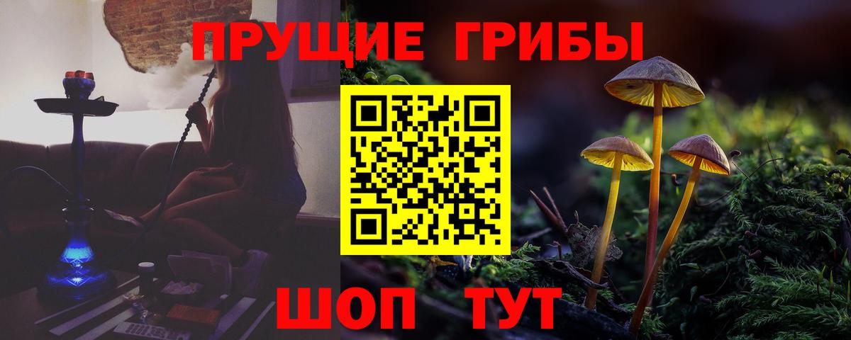 Галлюциногенные грибы GOLDEN TEACHER  Вход с VPN  Обнинск 
